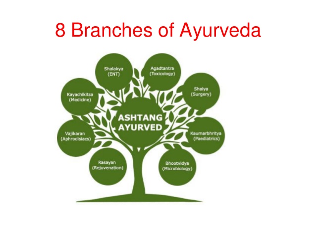 8 branches of ayurved