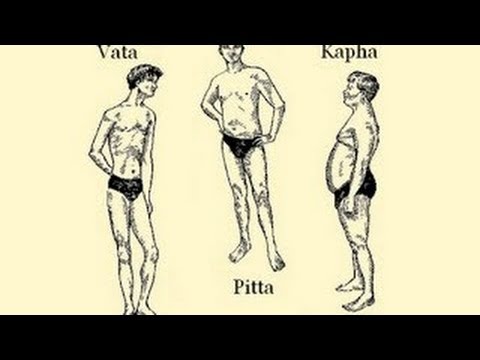 vata-pitta-kapha