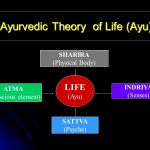 SHARIRA. (Physical Body) LIFE. (Ayu) ATMA. (Conscious element) INDRIYA. (Senses) SATTVA. (Psyche)