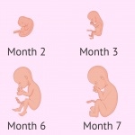 monthwise-development